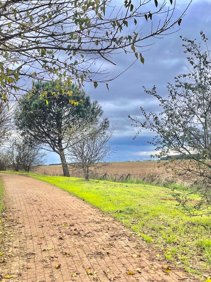 Holiday Home Roma Lacasadivalentina מראה חיצוני תמונה